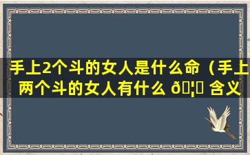 手上2个斗的女人是什么命（手上两个斗的女人有什么 🦈 含义 🐬 ）